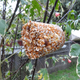 Image for article titled These Awesome Bird Treats Contain Only Trace Amounts of Horse
